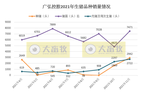 广弘控股:11月种猪销量环比增长78%,前11月生猪销量突破10万头