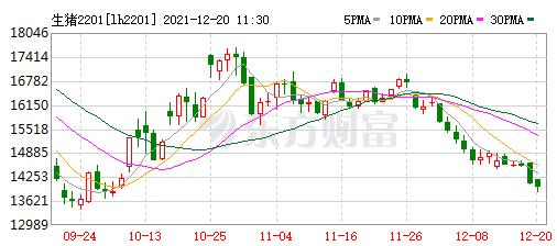 2021.12.20-今日猪价继续下跌，有15省跌破8元，当前我国非洲猪瘟疫情形势如何？14家猪企11月生猪销量913万头环减22%