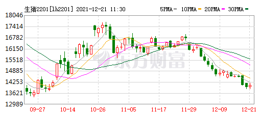 2021.12.21-今日猪价震荡下跌,养猪盈利连续7周上涨幅度收窄;2022年猪业猜想,2025年将会发展成什么样?