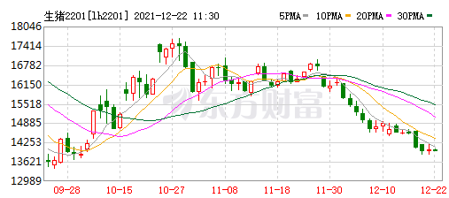 2021.12.22-今日猪价弱势走跌，已连跌5天，仔猪价格连涨8周后下跌，双节前的上涨要落空了吗？新希望称明年具备出栏量翻倍的能力