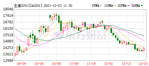 2021.12.23-今日全国均价跌破8元，生猪屠宰旺季不旺再度亏损，牧原秦英林回应资金紧张及股价下跌情况，生猪股及期货双双翻红