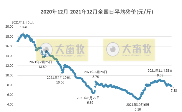 2021.12.24-今日猪价继续下行,连跌7天,东瑞明年母猪存栏翻倍将新招600人,正邦科技剥离食品业务专注养猪