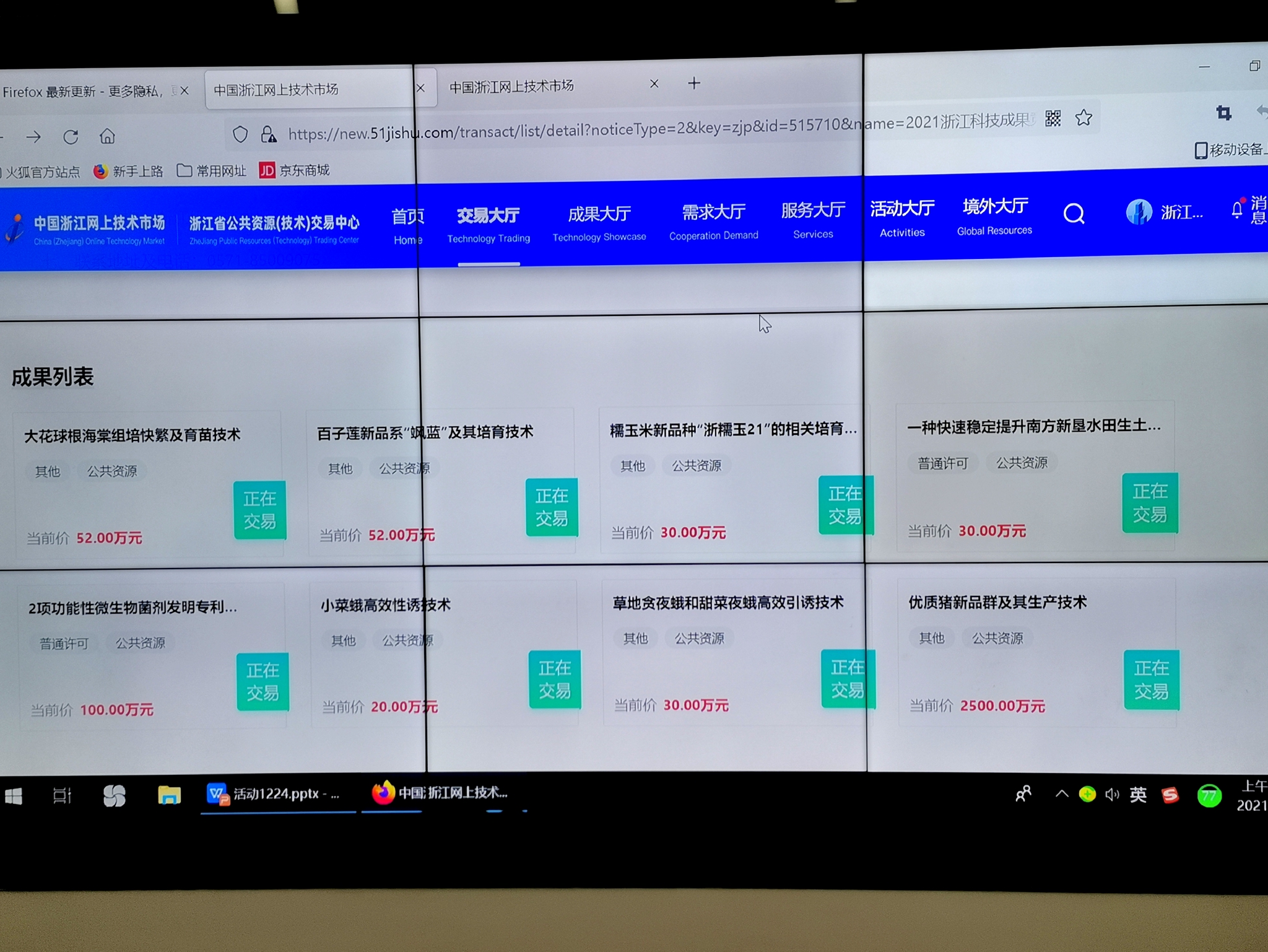 浙江自培优质黑猪被拍出3000万元高价