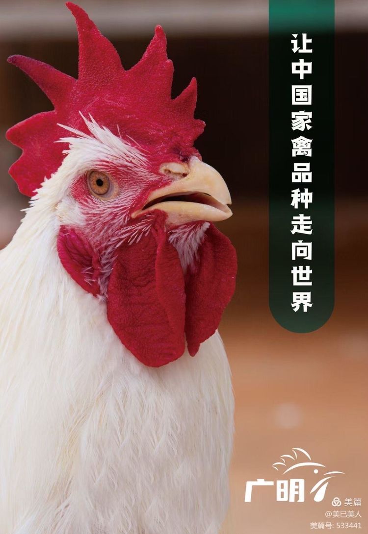 我的2021年——虽有厌烦却不失美好