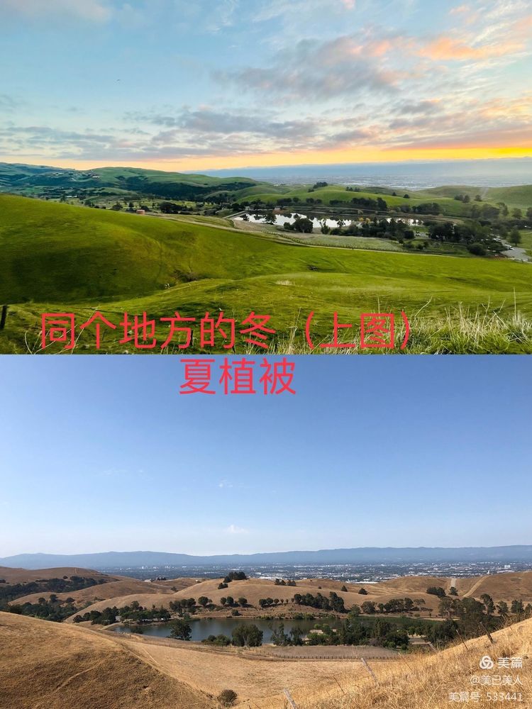 我的2021年——虽有厌烦却不失美好