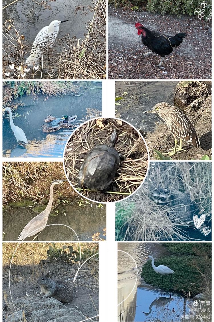 我的2021年——虽有厌烦却不失美好