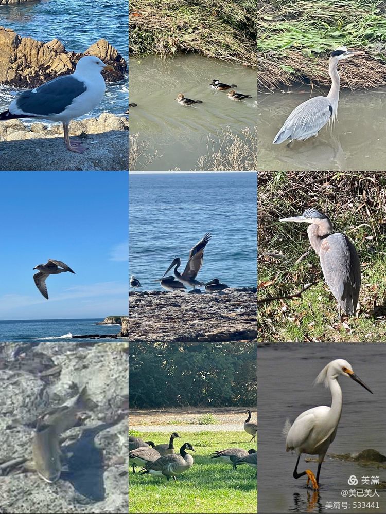 我的2021年——虽有厌烦却不失美好