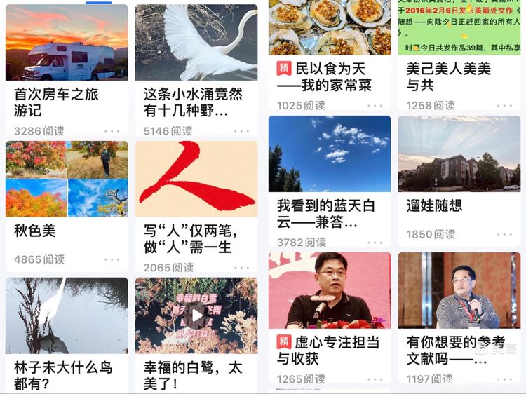 我的2021年——虽有厌烦却不失美好