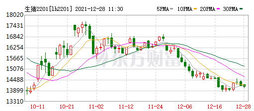 2021.12.28-今日猪价震荡下行，这一轮“猪周期”为何如此特异？新希望表示理论上每年可提供7000万头仔猪；财政部拨付8.1亿农业生产和水利救灾资金