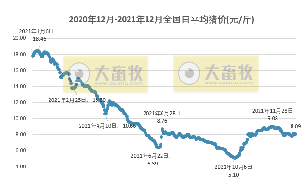 2021.12.30-今日猪价震荡上行,屠企收猪价连3周下降,广东首家17层养猪楼封顶;生猪运输途中不得销售调换;微牧黑猪瘦肉率可达到58%