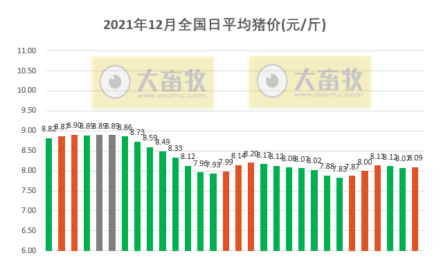 2021.12.30-今日猪价震荡上行,屠企收猪价连3周下降,广东首家17层养猪楼封顶;生猪运输途中不得销售调换;微牧黑猪瘦肉率可达到58%