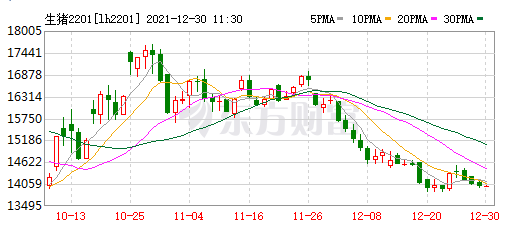 2021.12.30-今日猪价震荡上行，屠企收猪价连3周下降，广东首家17层养猪楼封顶；生猪运输途中不得销售调换；微牧黑猪瘦肉率可达到58%