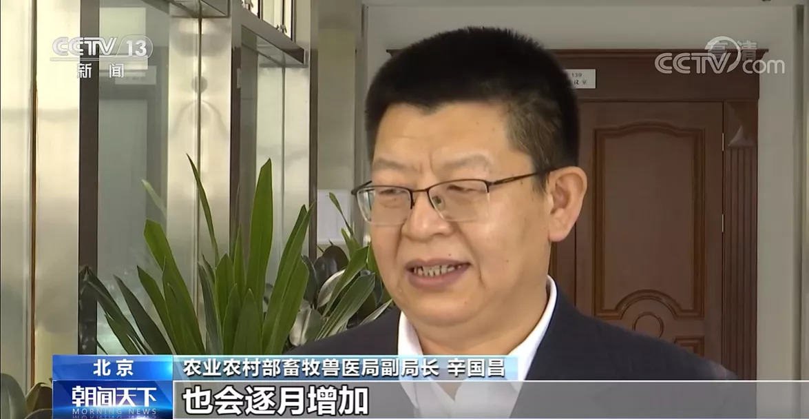 农业农村部：生猪产能仍惯性增长 元旦春节期间猪肉供应有保障