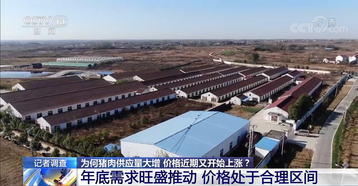 农业农村部：生猪产能仍惯性增长 元旦春节期间猪肉供应有保障