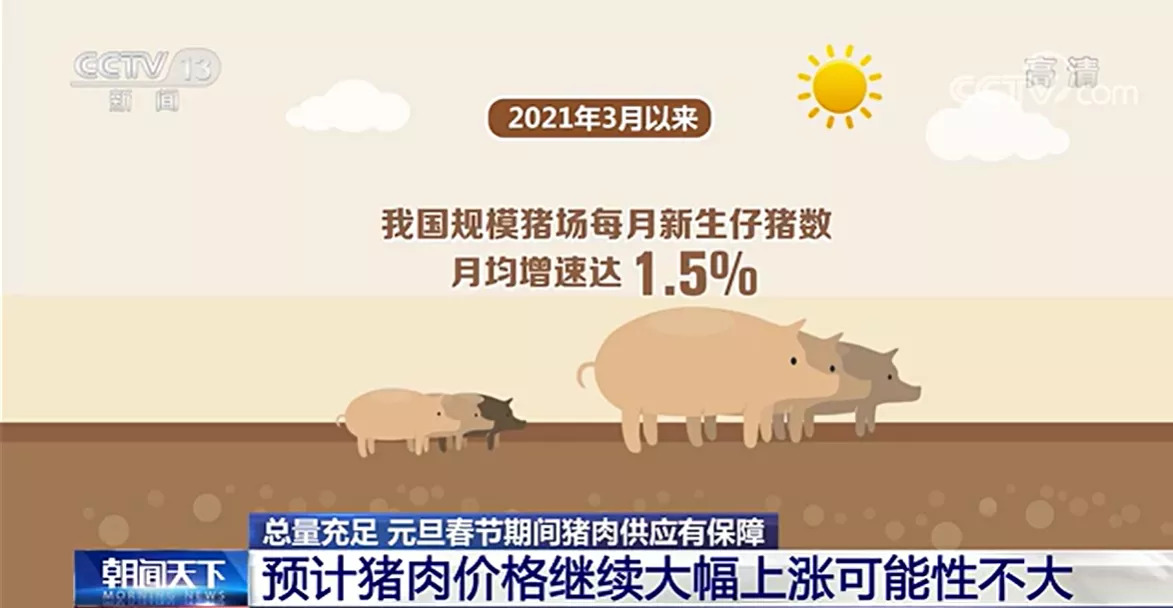 农业农村部：生猪产能仍惯性增长 元旦春节期间猪肉供应有保障
