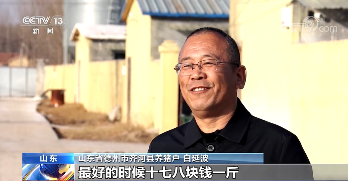 农业农村部：生猪产能仍惯性增长 元旦春节期间猪肉供应有保障