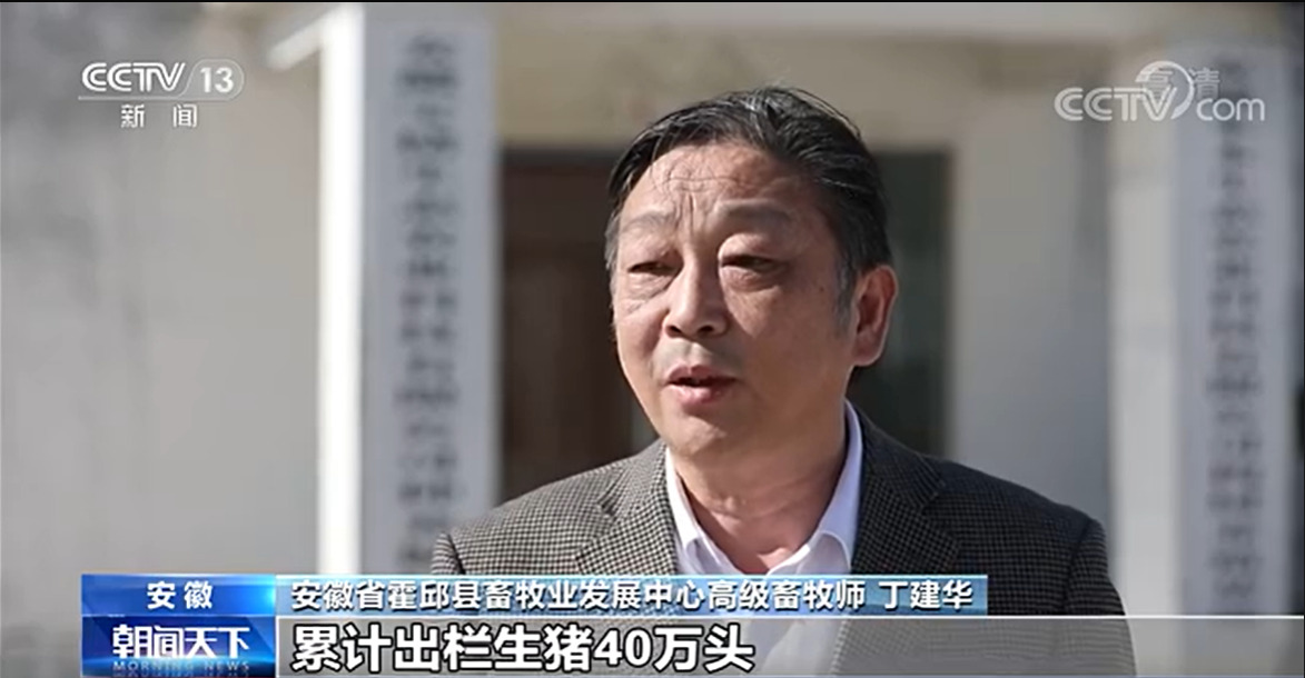 农业农村部：生猪产能仍惯性增长 元旦春节期间猪肉供应有保障