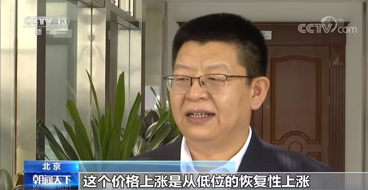 农业农村部：生猪产能仍惯性增长 元旦春节期间猪肉供应有保障