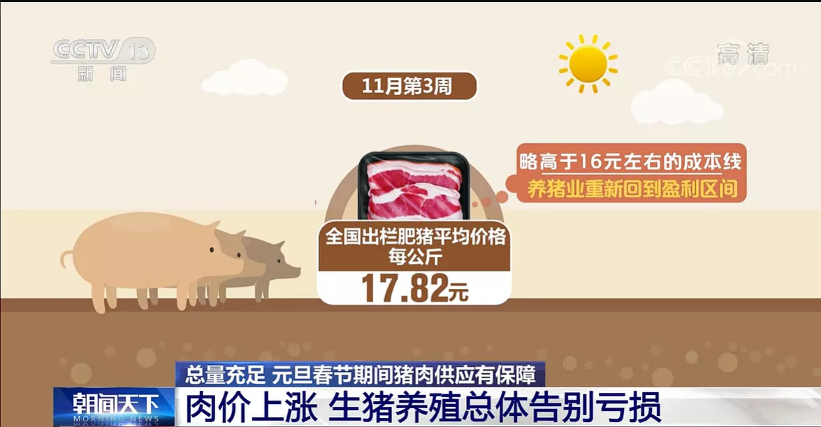 农业农村部：生猪产能仍惯性增长 元旦春节期间猪肉供应有保障