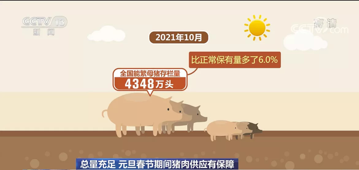 农业农村部：生猪产能仍惯性增长 元旦春节期间猪肉供应有保障