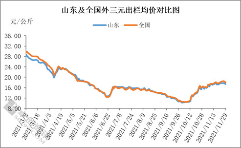 11月猪价高位盘整,助长养殖户压栏增重情绪
