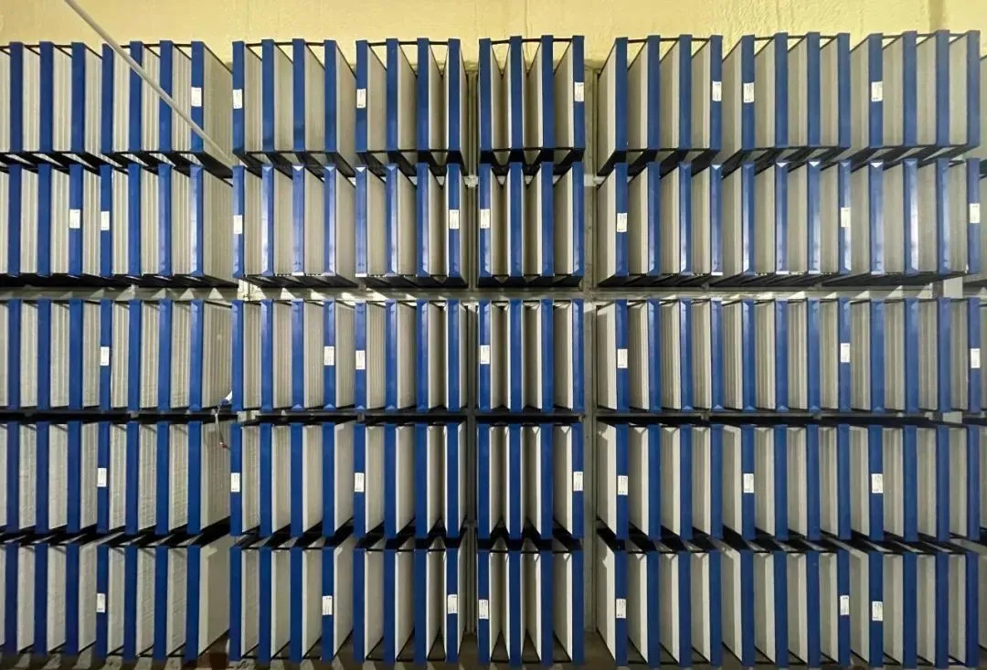 神农集团广西雷平6000头正压空气过滤母猪场建设完成