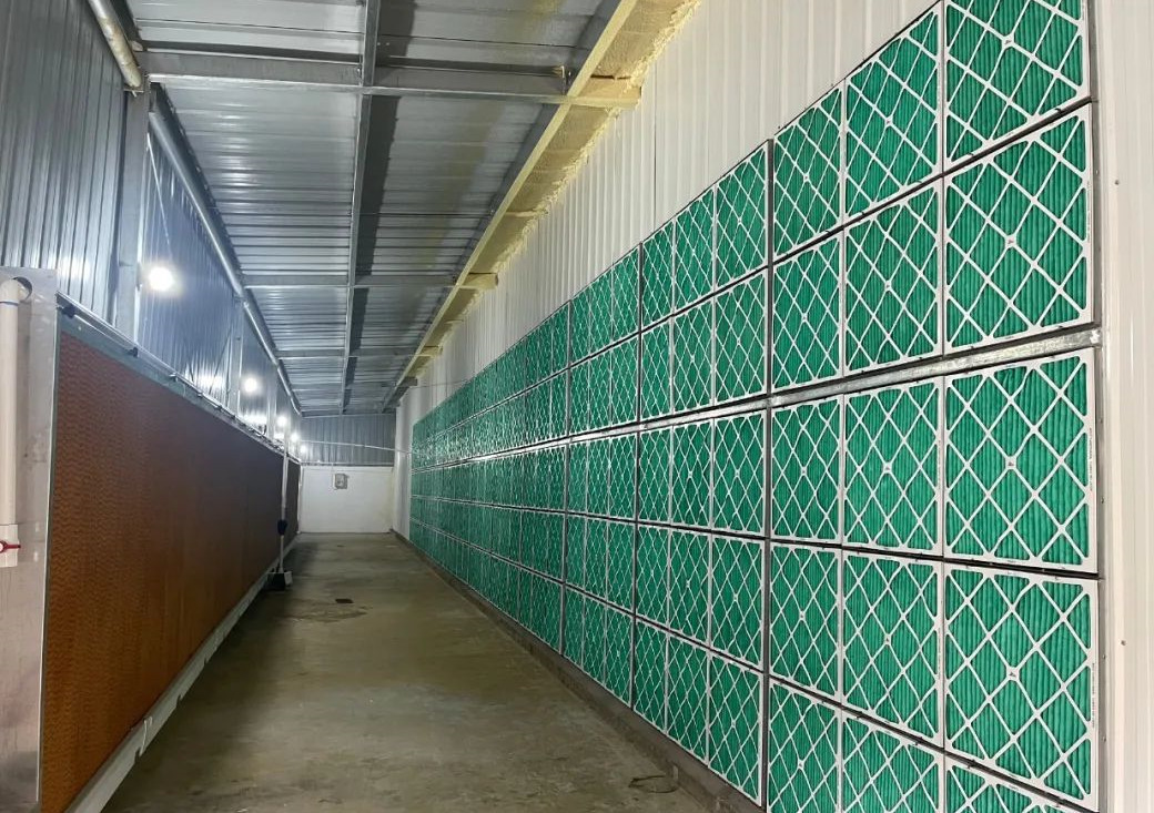 神农集团广西雷平6000头正压空气过滤母猪场建设完成