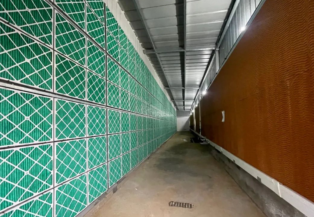 神农集团广西雷平6000头正压空气过滤母猪场建设完成