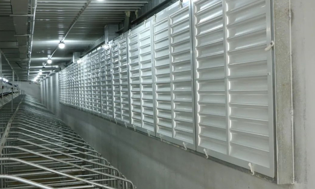 神农集团广西雷平6000头正压空气过滤母猪场建设完成