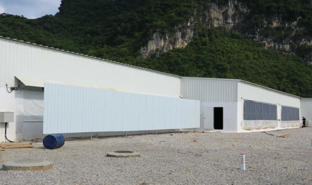 神农集团广西雷平6000头正压空气过滤母猪场建设完成