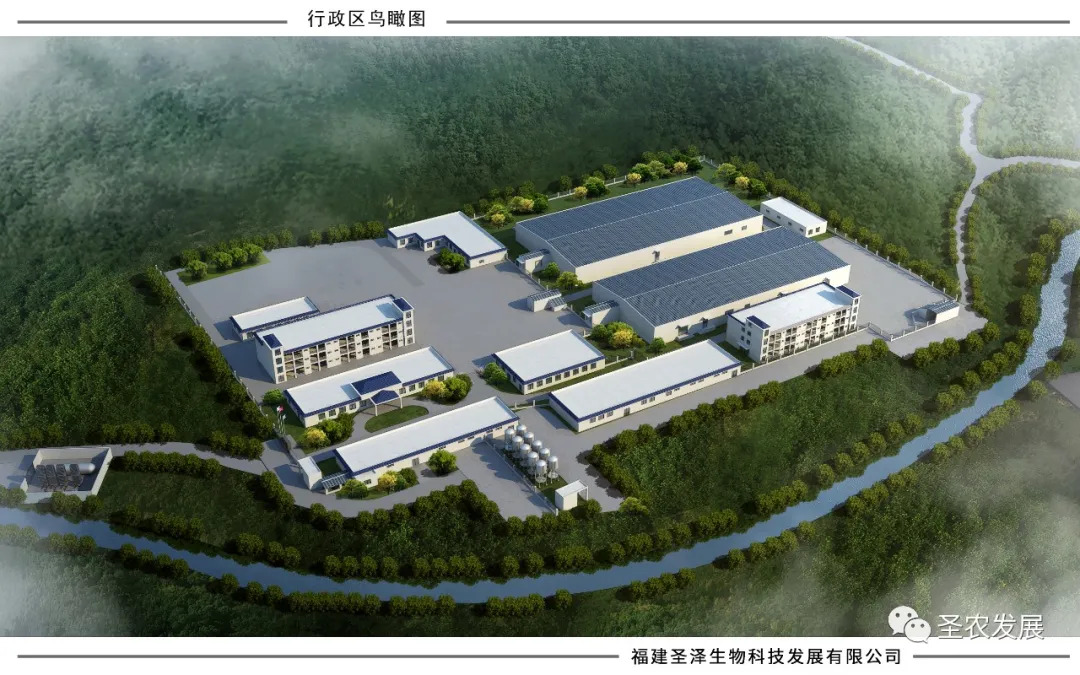 圣农集团SZ901白羽肉鸡新品种正式通过农业农村部审定,彻底解决中国白羽肉鸡种源“卡脖子”问题