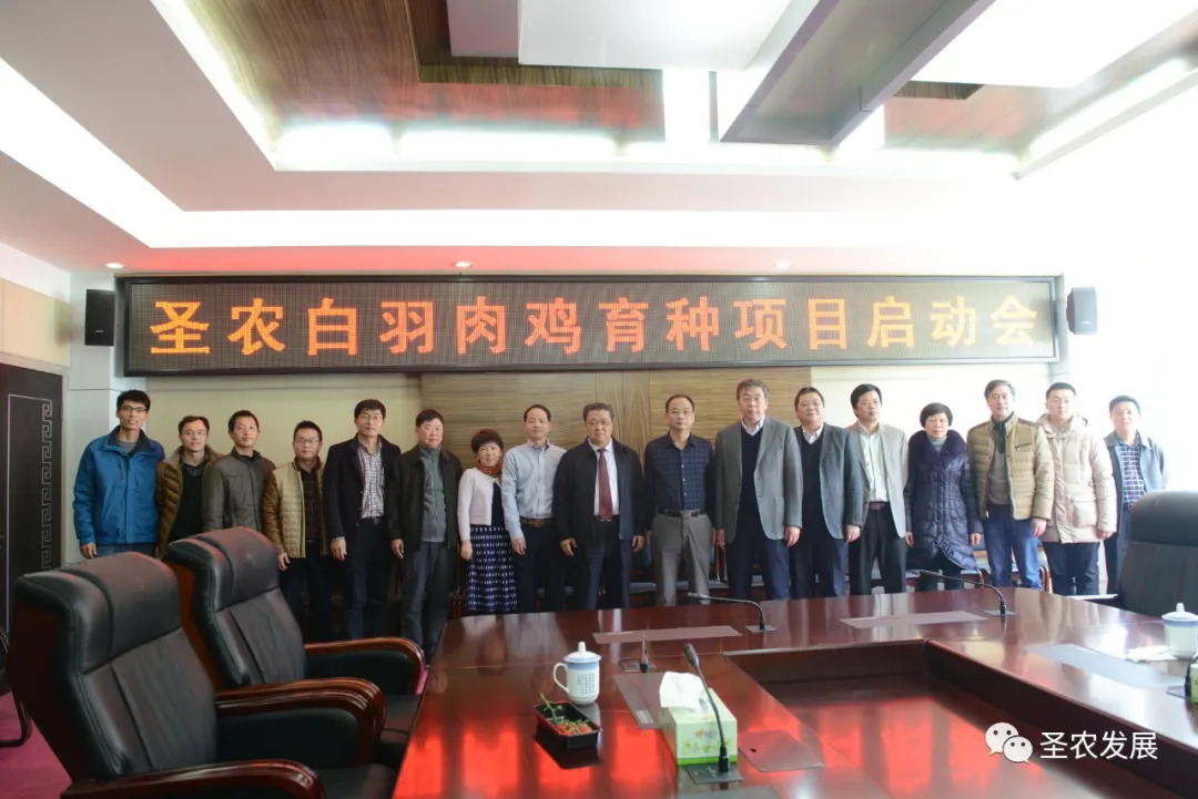 圣农集团SZ901白羽肉鸡新品种正式通过农业农村部审定,彻底解决中国白羽肉鸡种源“卡脖子”问题