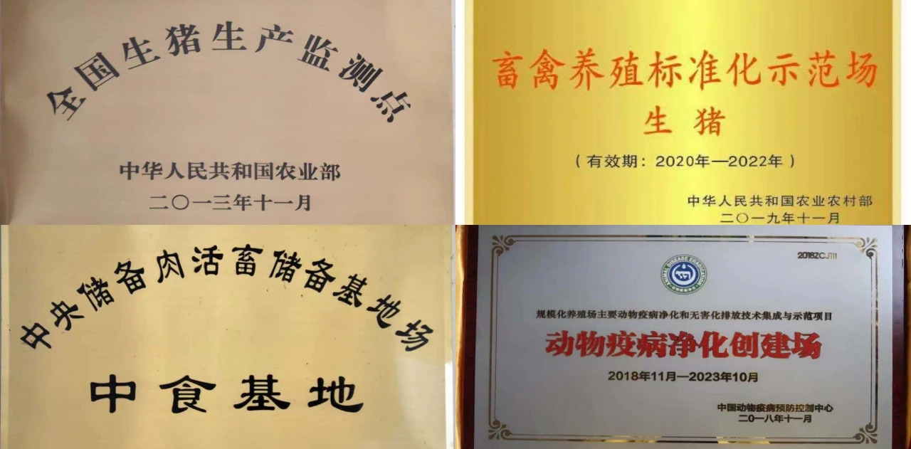 唐人神控股子公司龙华农牧是一家怎样的养猪公司？