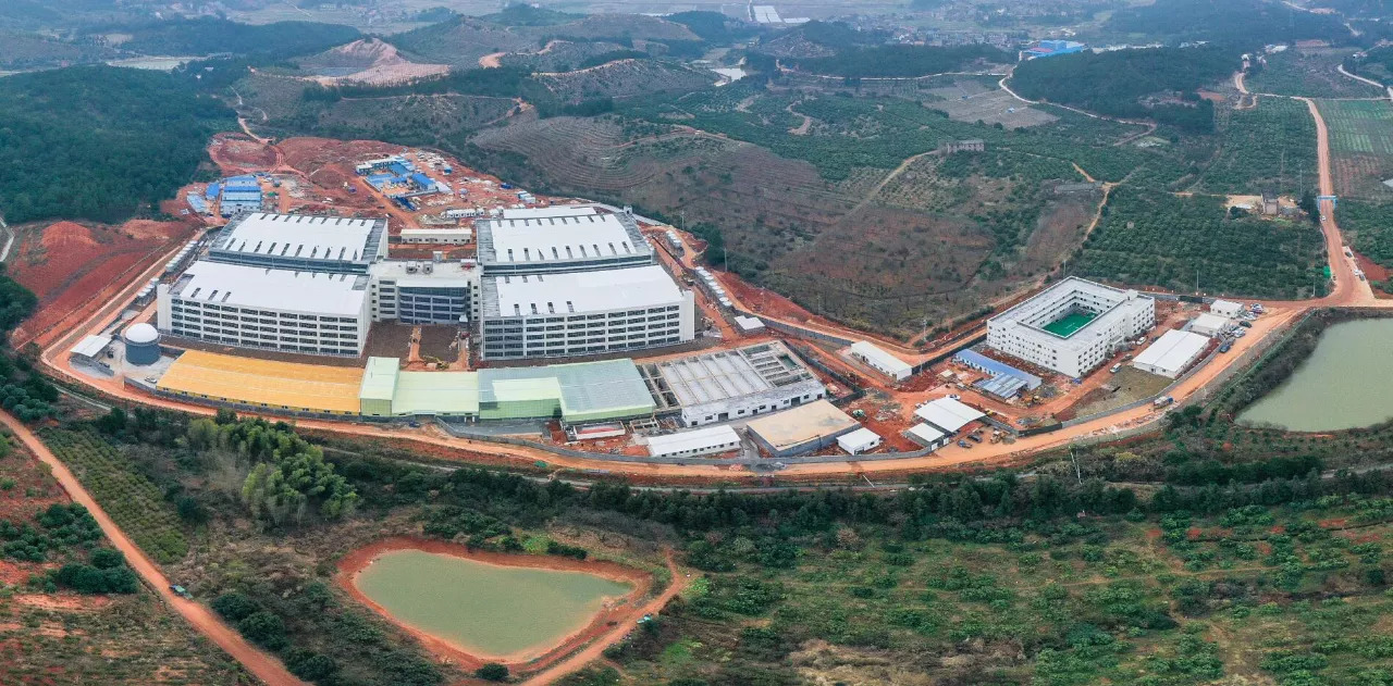 唐人神控股子公司龙华农牧是一家怎样的养猪公司？