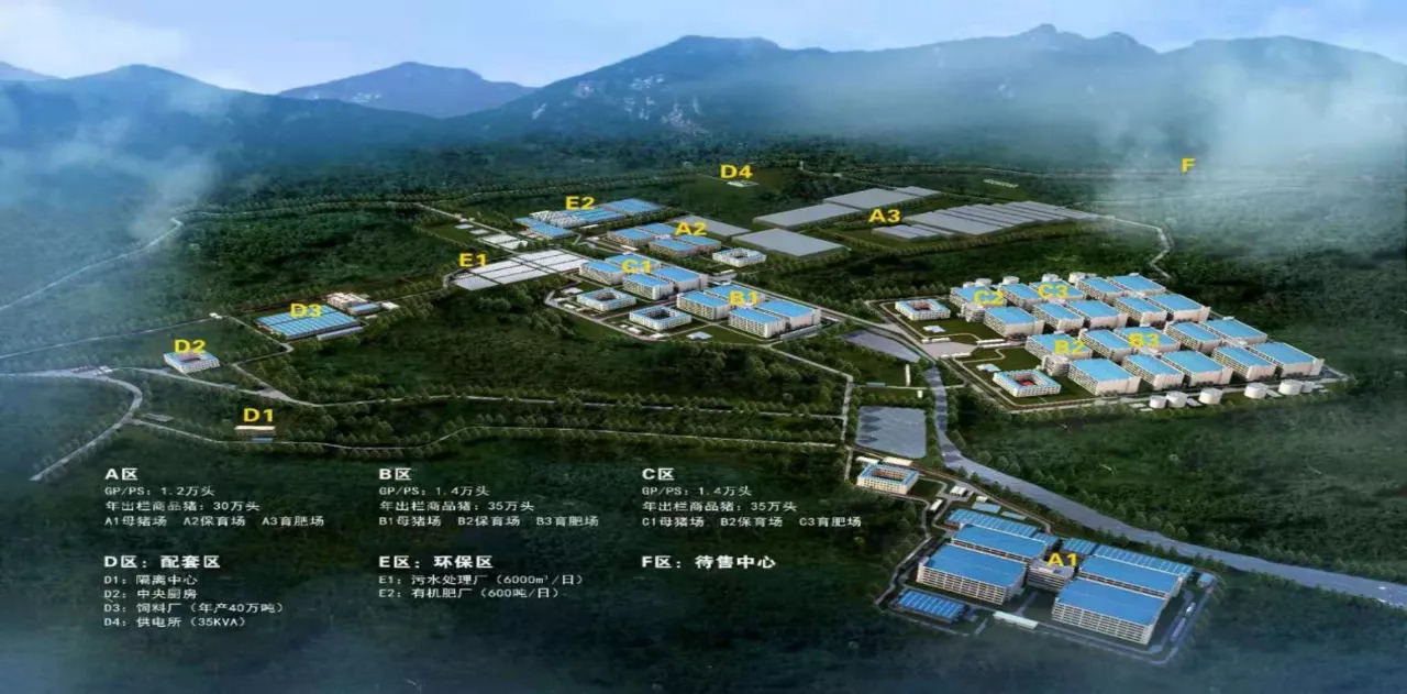 唐人神控股子公司龙华农牧是一家怎样的养猪公司？