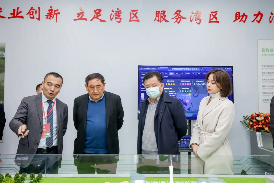 广东首例！17层养猪楼房，南沙扬翔风行食品立体化全产业链生猪养殖项目封项