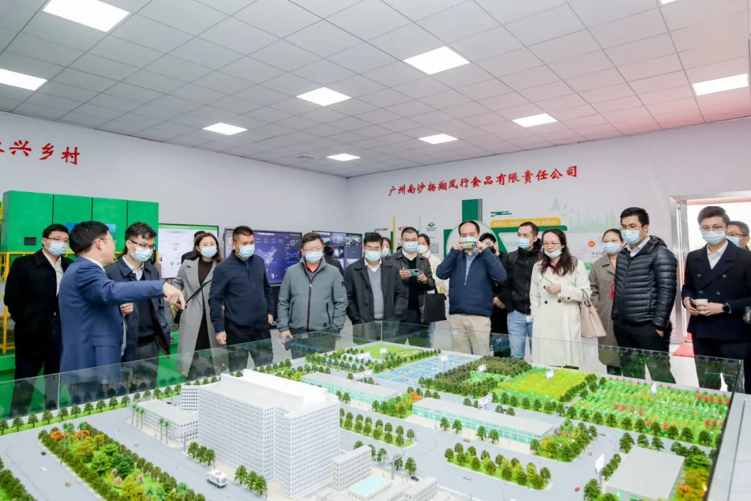 广东首例！17层养猪楼房，南沙扬翔风行食品立体化全产业链生猪养殖项目封项