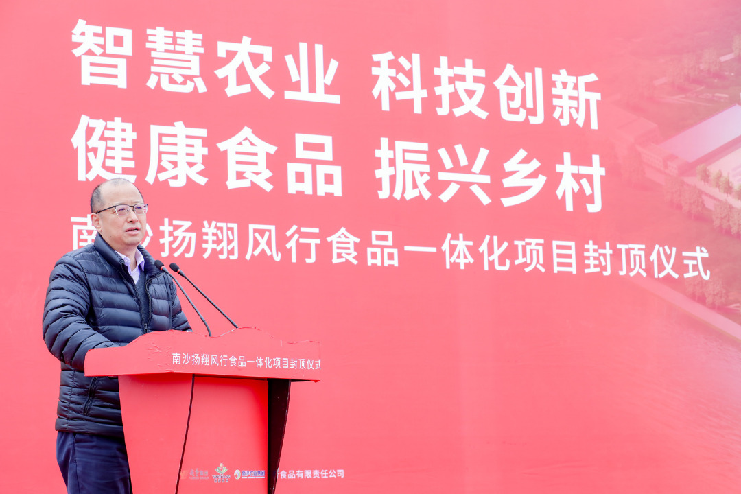 广东首例！17层养猪楼房，南沙扬翔风行食品立体化全产业链生猪养殖项目封项