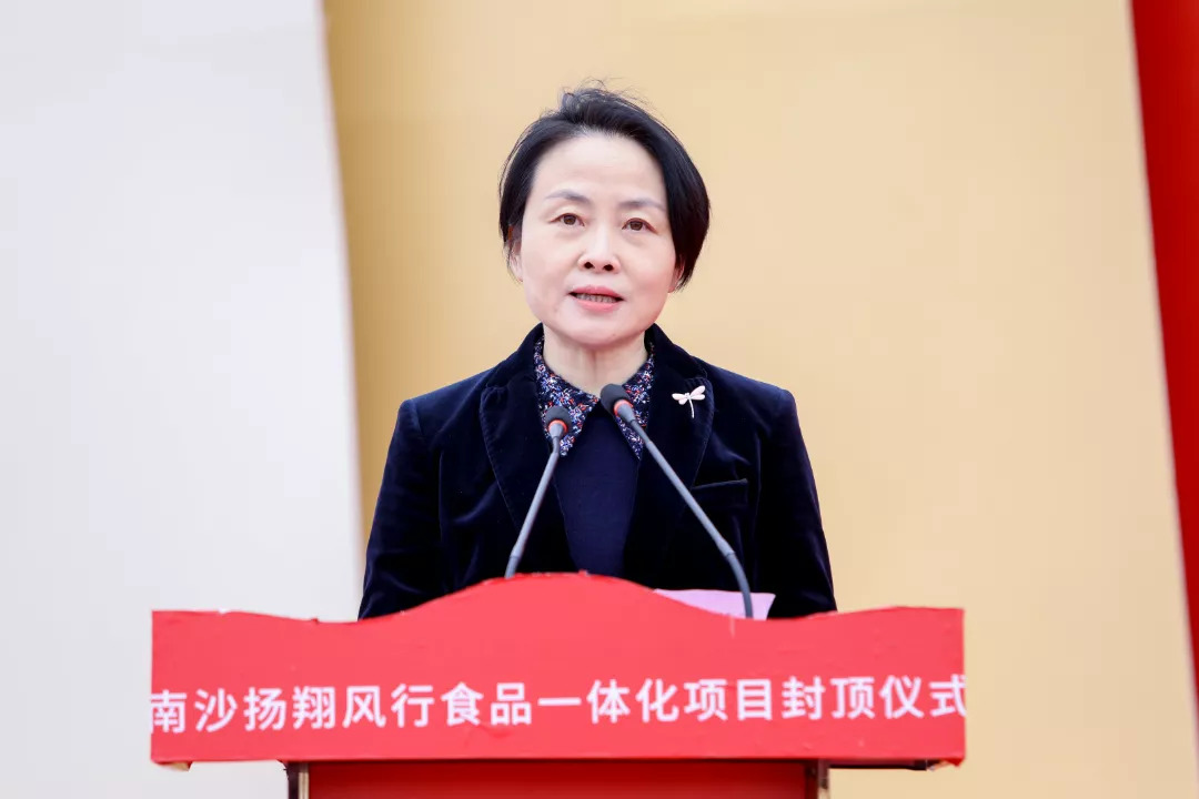 广东首例！17层养猪楼房，南沙扬翔风行食品立体化全产业链生猪养殖项目封项