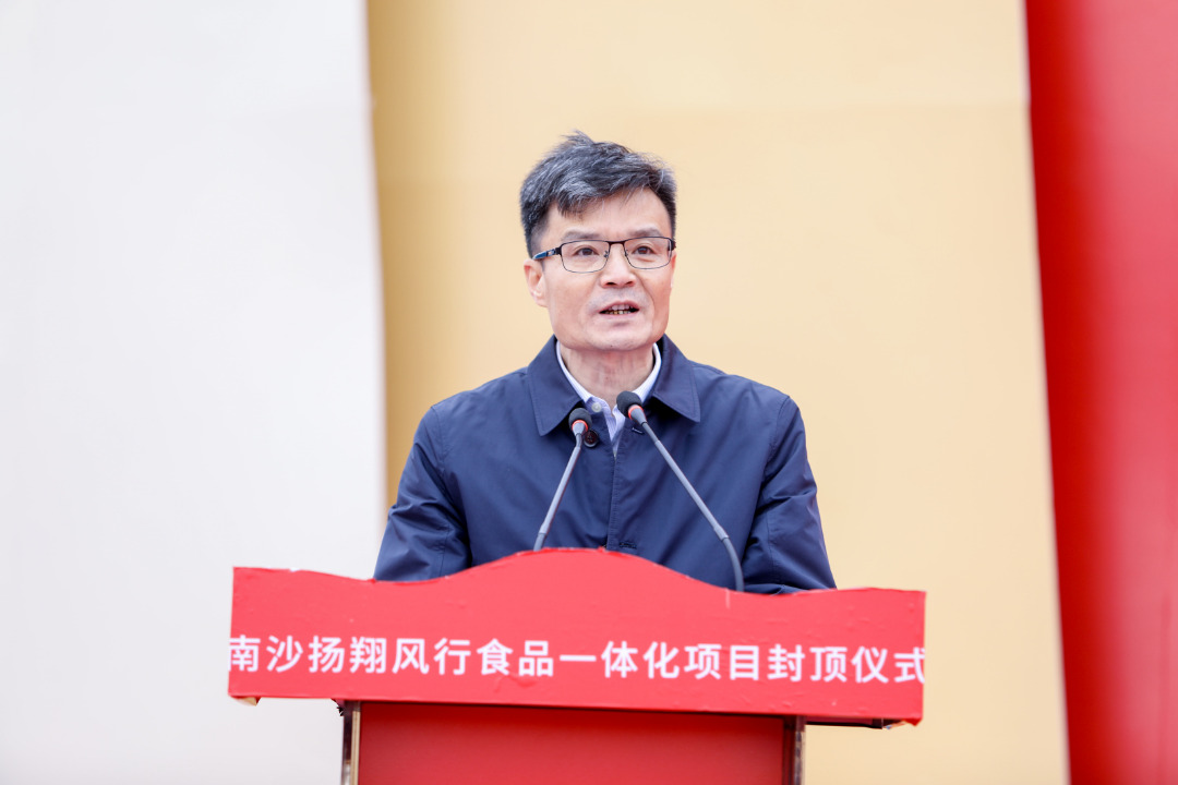 广东首例！17层养猪楼房，南沙扬翔风行食品立体化全产业链生猪养殖项目封项