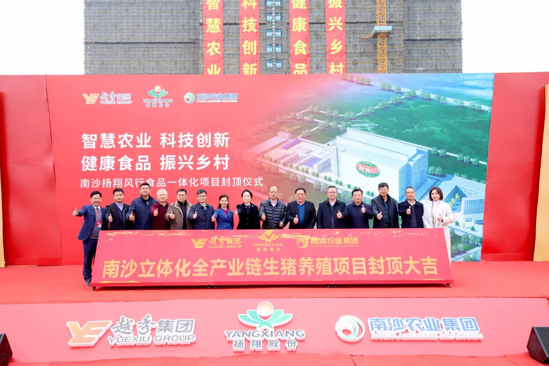 广东首例！17层养猪楼房，南沙扬翔风行食品立体化全产业链生猪养殖项目封项