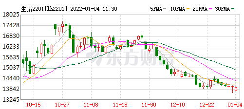 2022.01.04-今日猪价多地下跌,而猪肉股开门红集体上涨;今年7-9月的生猪行情也不一定那么乐观?傲农2021年生猪销量超过前6年之和