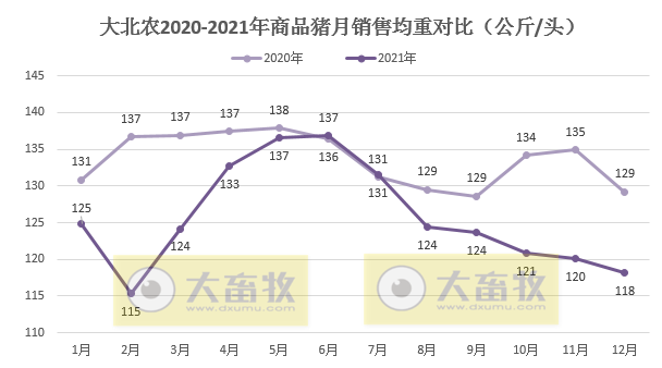 大北农2021年度业绩预告及生猪销售情况