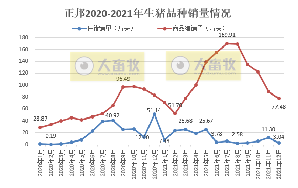 正邦科技2021年度业绩预告及生猪销售情况