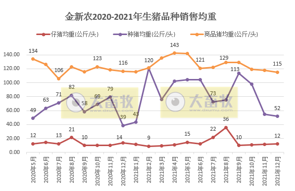 金新农2021年度业绩预告及生猪销售情况