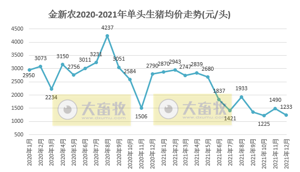 金新农2021年度业绩预告及生猪销售情况