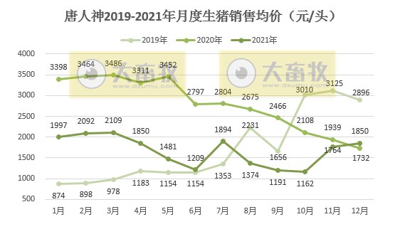 唐人神2021年度业绩预告及生猪销售情况