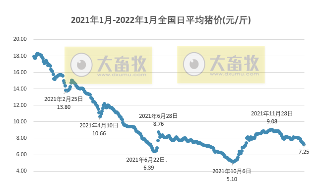 2022.01.10-今日猪价继续下跌,属于反季节下跌,春节后需求偏弱可能仍将继续,东瑞唐人神年度生猪数据出炉,生猪股全面飘红