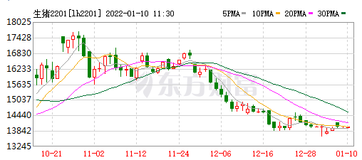 2022.01.10-今日猪价继续下跌，属于反季节下跌，春节后需求偏弱可能仍将继续，东瑞唐人神年度生猪数据出炉，生猪股全面飘红
