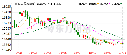 2022.01.11-今日猪价近81天最低价,14省跌破7元;头均仍有盈利150元已连续10周盈利;大北农拟增投资5大项目还有鼓励优育方案